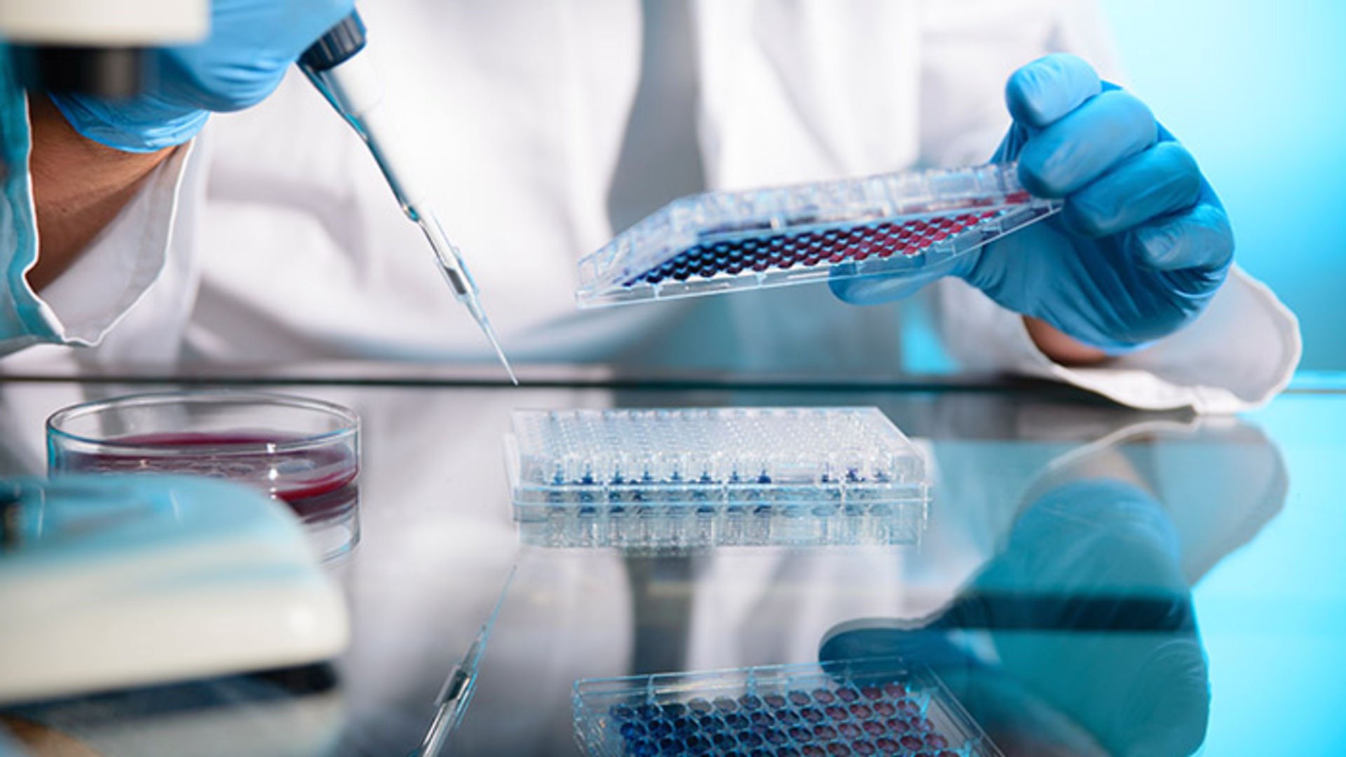 Genetische Untersuchung bei künstlicher Befruchtung (PGT)